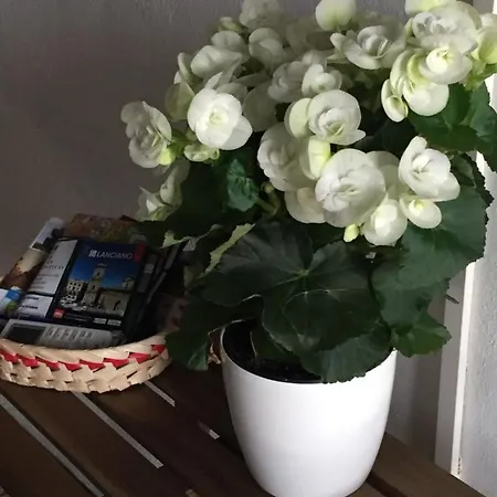 Le Campanelle Bed and breakfast