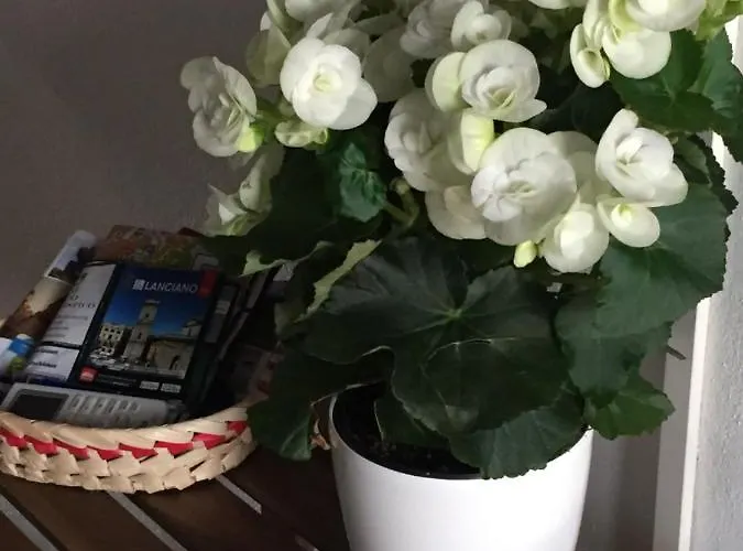 Le Campanelle Bed and Breakfast